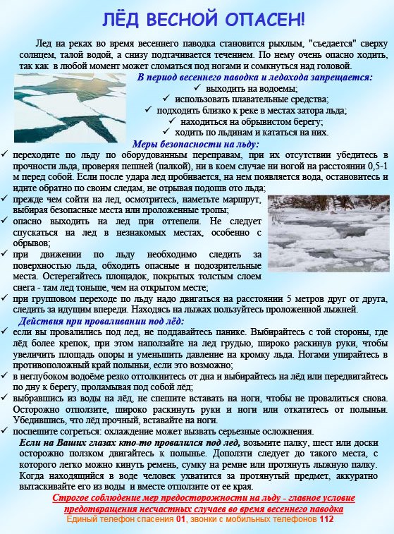 Сообщение